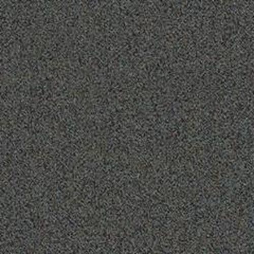 AMERICANVILLAII22615 in Touch Down Carpet