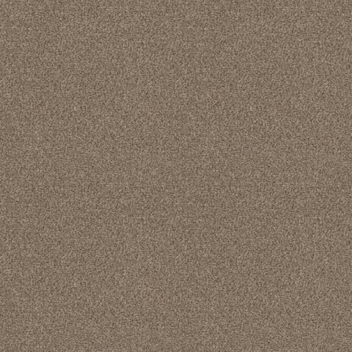 CACTUS BLUFF (B) in Brown Reed Carpet