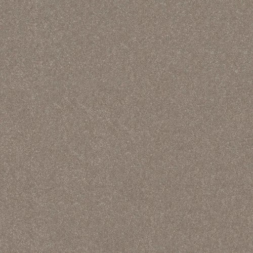 TAKE NOTICE I 12 in Chic Greige Carpet