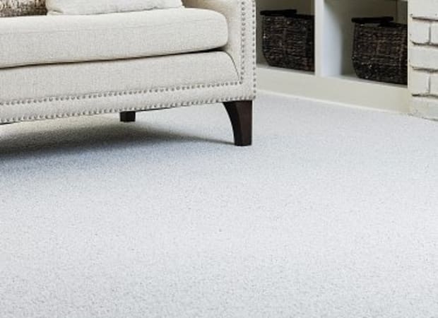 Shaw Industries | HIDDEN TREAT