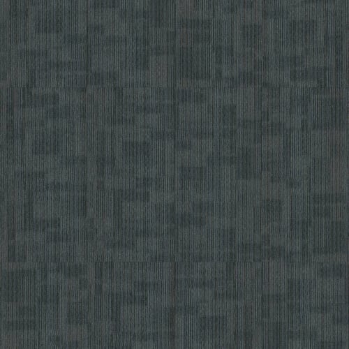QUIET VISION