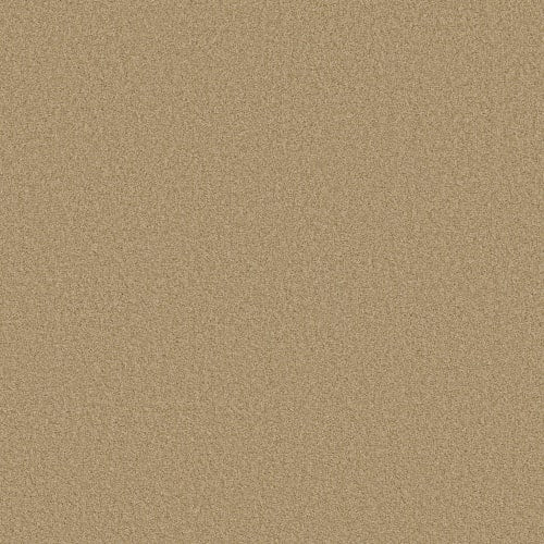 DESIGNER IMAGE LG