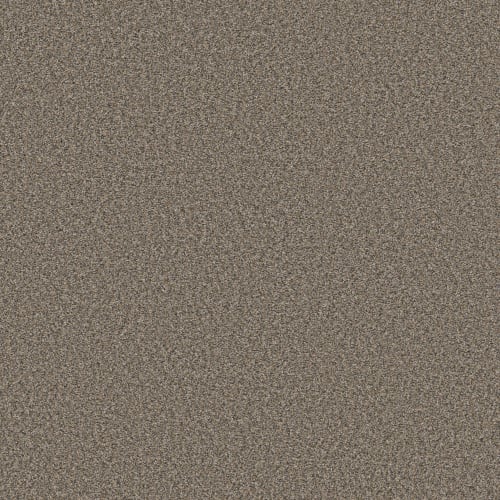 ENDLESS APPEAL II