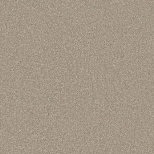 SPIRIT RIVER I in Desert Khaki Carpet