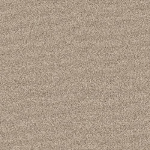 TRUE CULTURE in Bare Essential Carpet