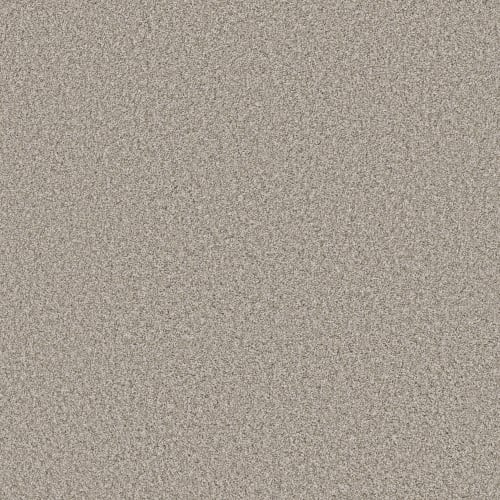 TOWN PRIDE in Canoe Carpet