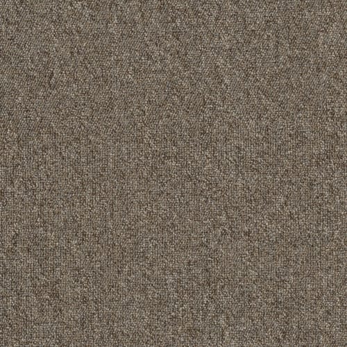 ARCHER DRIVE in Garfield Carpet