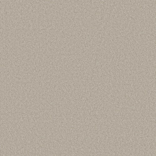 STRONG BELIEVER I in Split Sediment Carpet