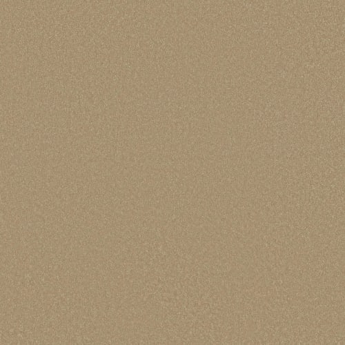 Shaw Industries | Majestic Breeze