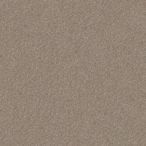 Shaw Industries | Master Design