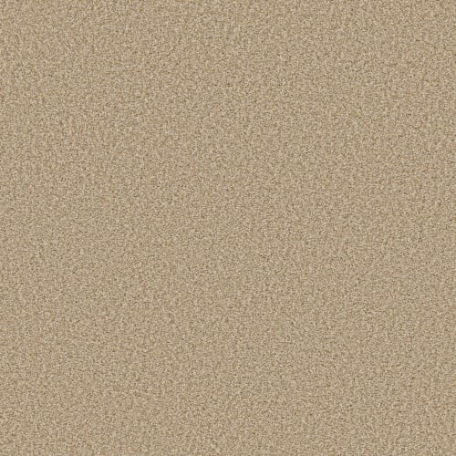 Remarkable Elegance in Lamb's Wool          Carpet