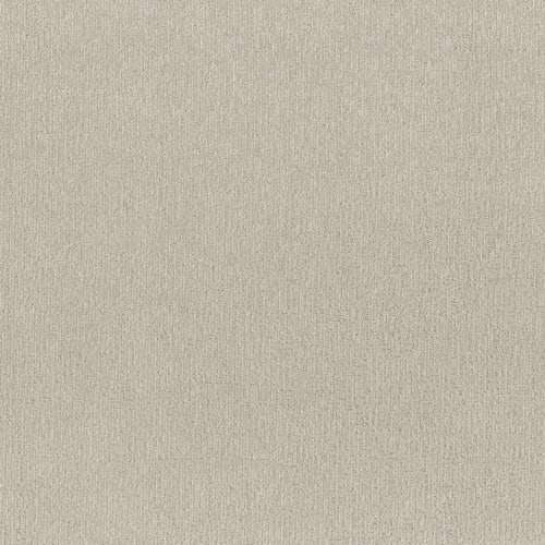 Summer Stock in Monterey Point Carpet