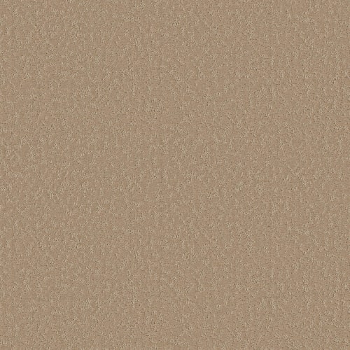 SOMETHING SPECIAL in Worn  Path Carpet