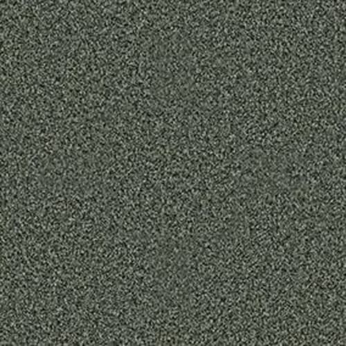 ADORING COMPANION in Lush Carpet