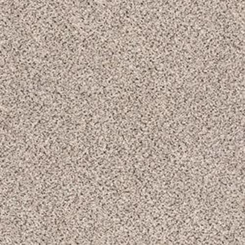 CAMP POINT ACCENT II