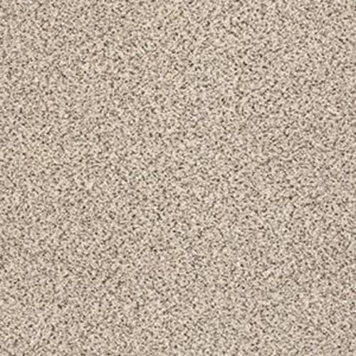 CAMP POINT ACCENT II