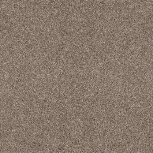 Press Briefing in Ocean Reef Carpet