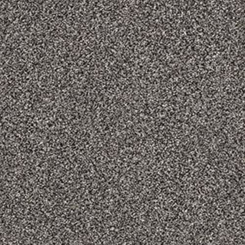 ALPINE WAY I in Anchor Carpet