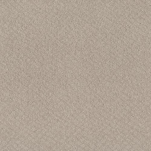 AMBER COAST in Fossil Path Carpet