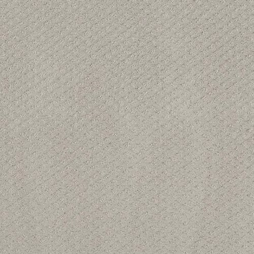 Laredo in Cinder Carpet