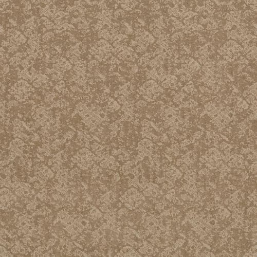 Harmond Hills in Transcend Carpet