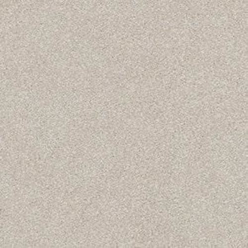 ROYALIST SOLID II