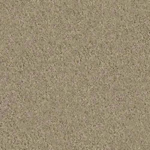 RUGBY CIRCLE I in Safari Carpet