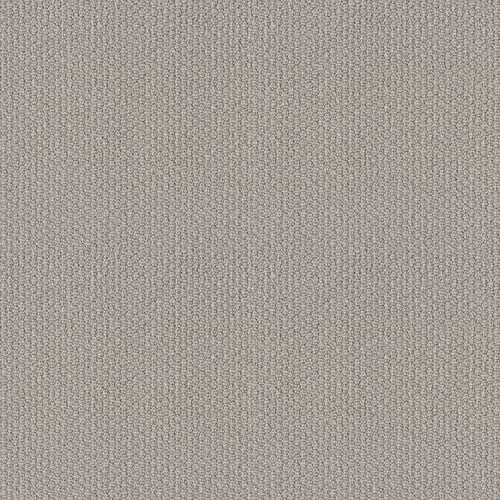 AFFECTIONATE EMBRACE in Warm Greige Carpet