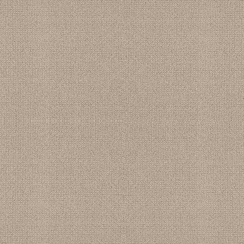 ADVENTUROUS DESIGN in Malibu Dune Carpet