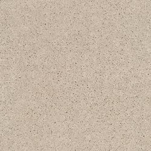 CAB COURT (S) in Sugar Cookie Carpet