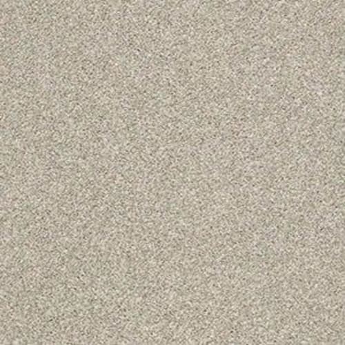 CACTUS BLUFF (T) in Ecru Carpet