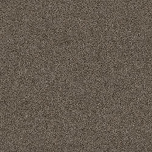 RAMSEY WAY in Asteroid Carpet