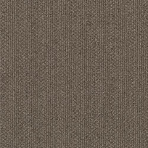 ACCURATE TERM in Plan Carpet