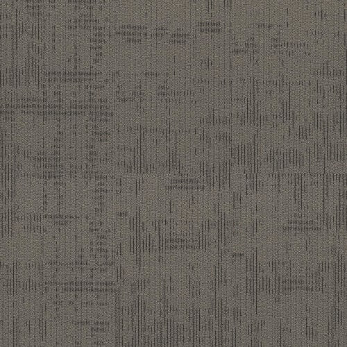 ALLEN FIELD in Inquisitive Carpet