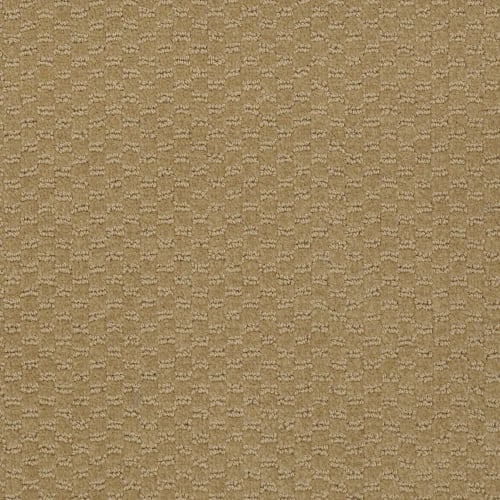 Lasting Details in London Fog Carpet