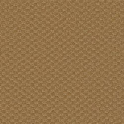 LAST SONG in Vintage Carpet