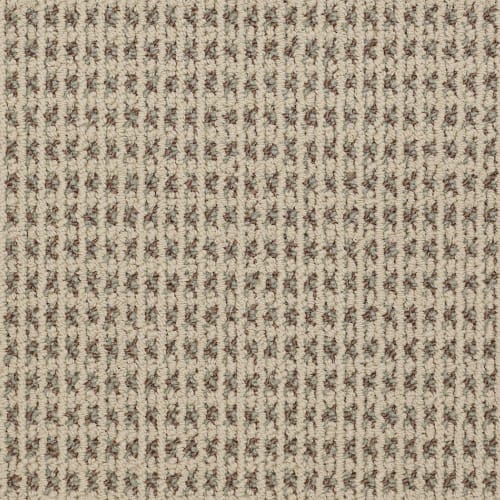 Divinity - Canvas in  Area Rugs