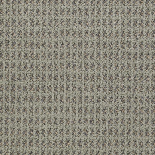 Divinity - Fosil in  Area Rugs