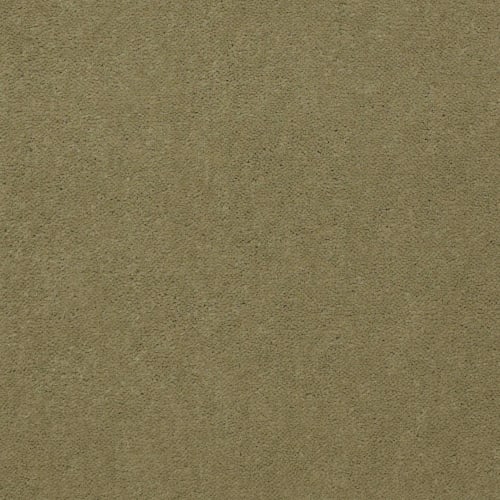 Personal Expression II 36