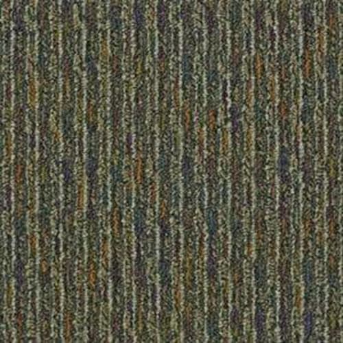 Barletta in Nightshade Carpet