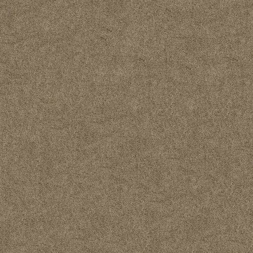 Yates City I in Sable Carpet