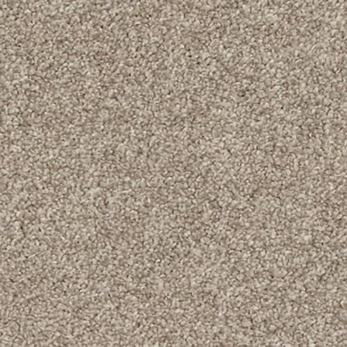 Refined Saga II in Dusky Willow Carpet