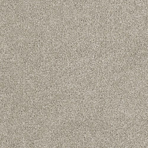 Hollywood in Orion Carpet