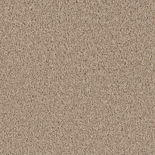 Quick Change in Emulsify Carpet