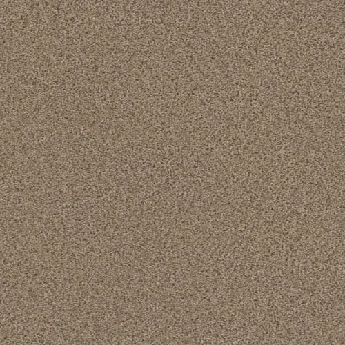 Origins in Refreshing Carpet