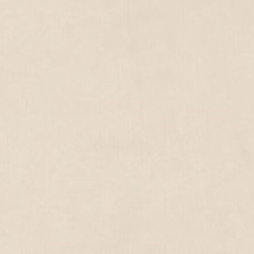 B-Natural in Kaolin 20x48 Plank Tile