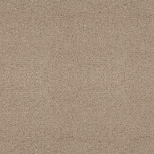 Harmon Beach in Euphony Carpet