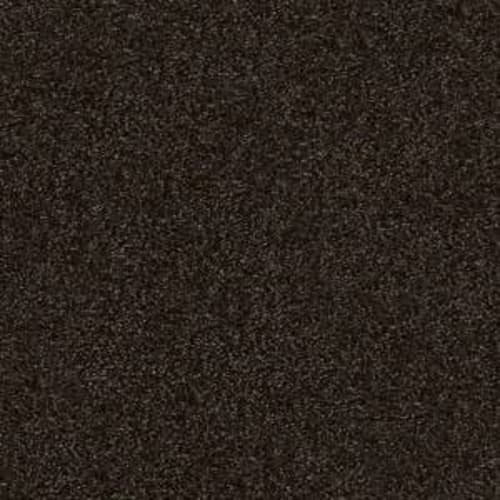 Atticus in Bristol Carpet