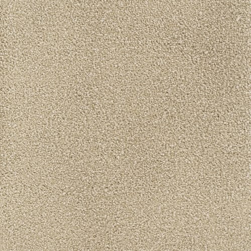 Canyon Fork in Sand Carpet