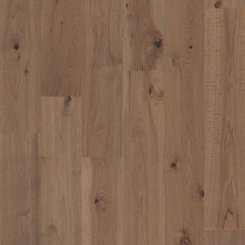 Imperial Pecan in Fawn